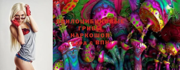 PSILOCYBIN Лагань